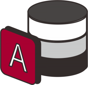 Access icon