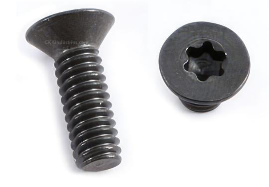 Torx Head Screws