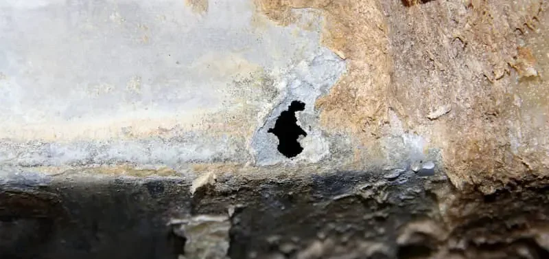 Exfoliation corrosion